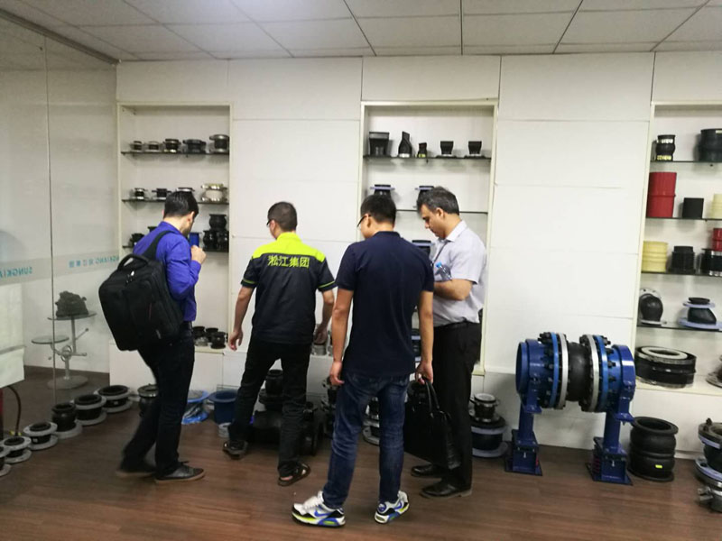 2018年7月6日國(guó)外客戶(hù)來(lái)訪(fǎng)淞江集團(tuán)