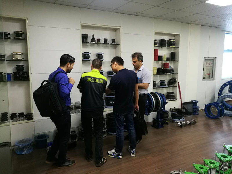 2018年7月6日國(guó)外客戶(hù)來(lái)訪(fǎng)淞江集團(tuán)