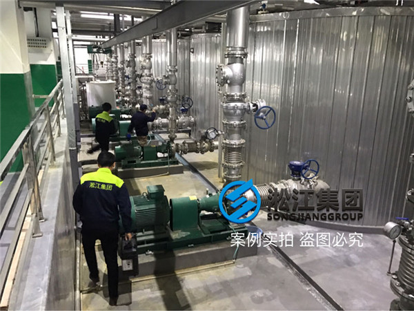 DN200波紋補(bǔ)償器 PN16 316L 現(xiàn)場(chǎng)檢測(cè)